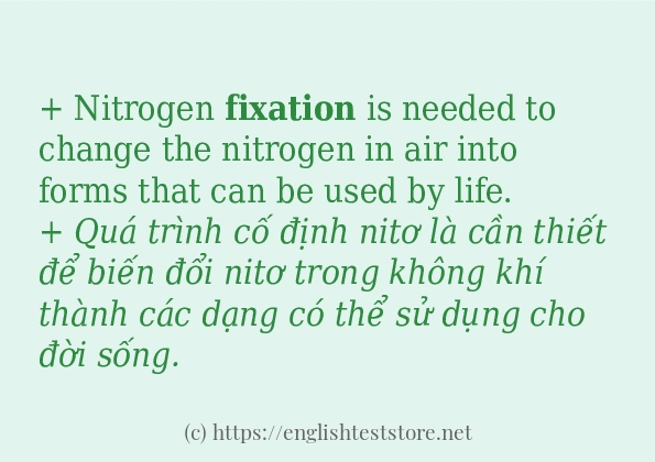 Cách sử dụng và câu ví dụ của từ fixation