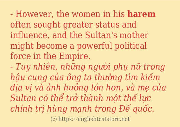 Cách sử dụng và câu ví dụ của từ harem