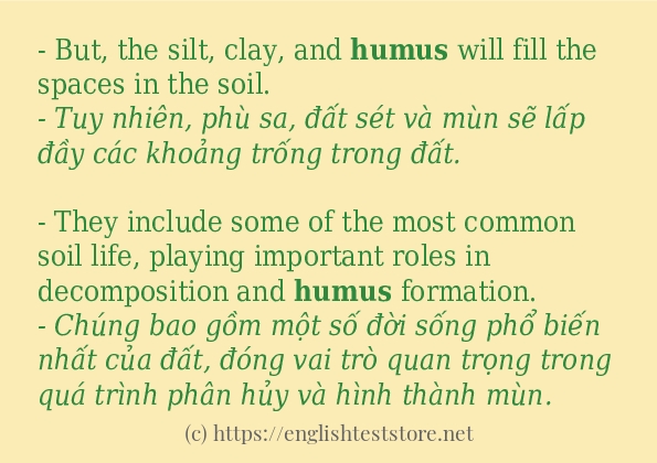 Cách sử dụng và câu ví dụ của từ humus
