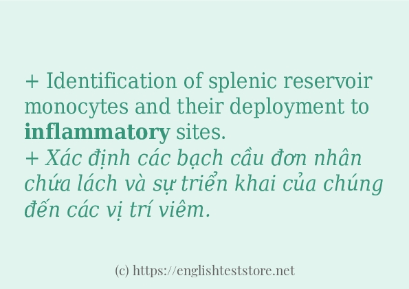 Cách sử dụng và câu ví dụ của từ inflammatory Cách sử dụng và câu ví dụ của từ inflammatory