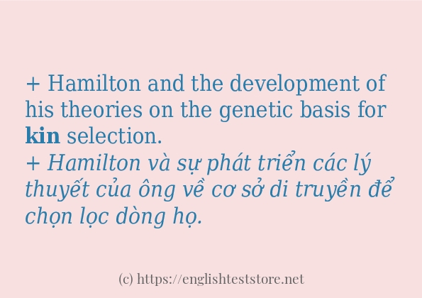 Cách sử dụng và câu ví dụ của từ kin