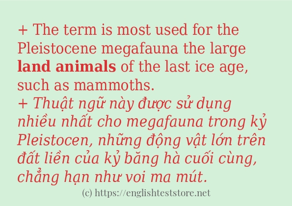 Cách sử dụng và câu ví dụ của từ land animals