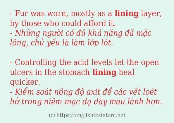 Cách sử dụng và câu ví dụ của từ lining
