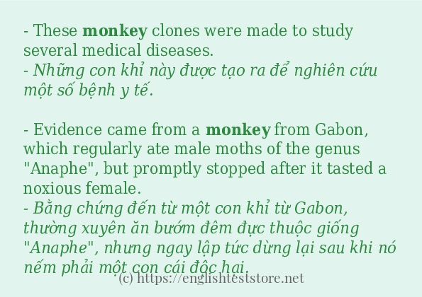 Cách sử dụng và câu ví dụ của từ monkey