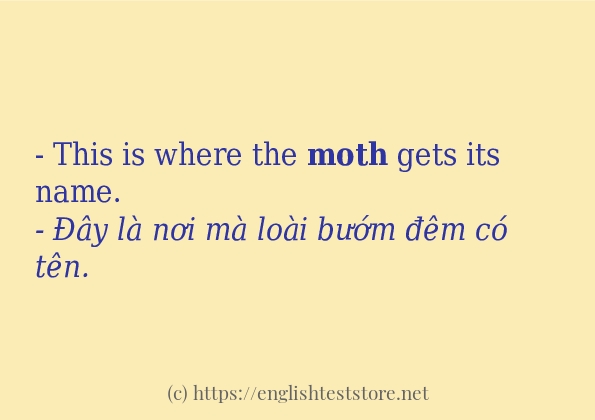 Cách sử dụng và câu ví dụ của từ moth Cách sử dụng và câu ví dụ của từ moth