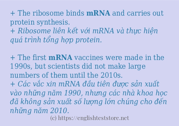 Cách sử dụng và câu ví dụ của từ mrna
