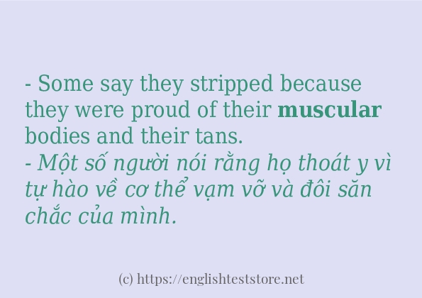 Cách sử dụng và câu ví dụ của từ muscular
