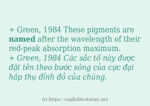 Cách sử dụng và câu ví dụ của từ named