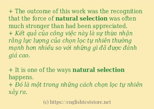 Cách sử dụng và câu ví dụ của từ natural selection Cách sử dụng và câu ví dụ của từ natural selection