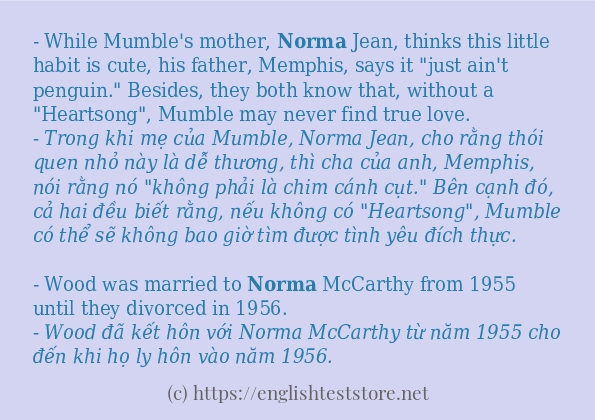 Cách sử dụng và câu ví dụ của từ norma