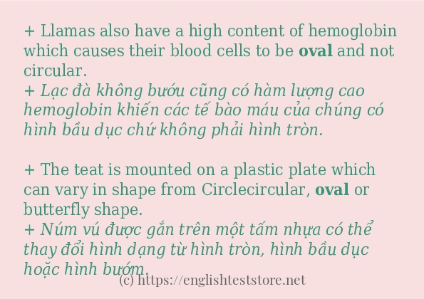 Cách sử dụng và câu ví dụ của từ oval