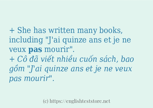 Cách sử dụng và câu ví dụ của từ pas