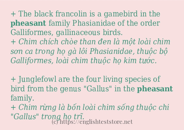 Cách sử dụng và câu ví dụ của từ pheasant