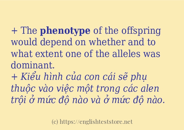 Cách sử dụng và câu ví dụ của từ phenotype