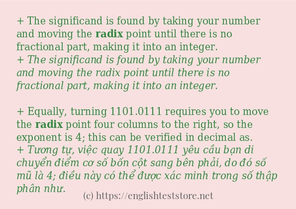 Cách sử dụng và câu ví dụ của từ radix Cách sử dụng và câu ví dụ của từ radix