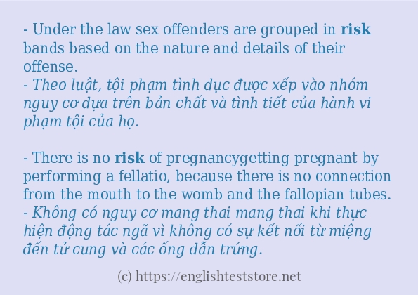 Cách sử dụng và câu ví dụ của từ risk Cách sử dụng và câu ví dụ của từ risk
