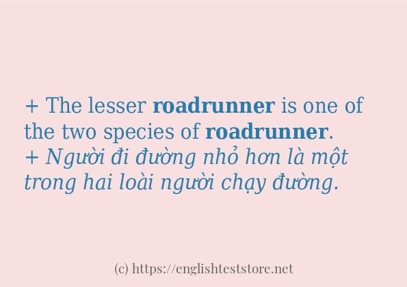 Cách sử dụng và câu ví dụ của từ roadrunner