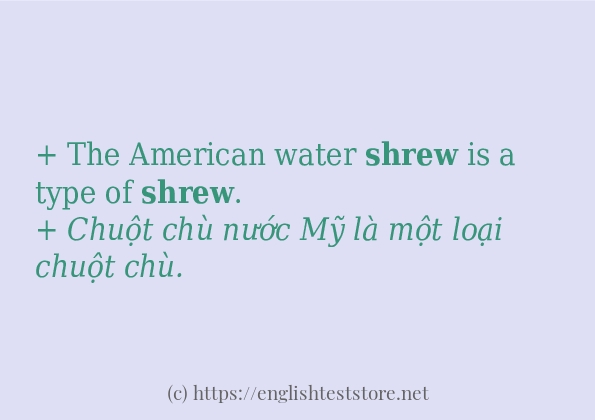 Cách sử dụng và câu ví dụ của từ shrew
