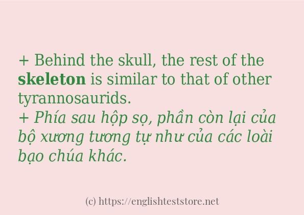 Cách sử dụng và câu ví dụ của từ skeleton