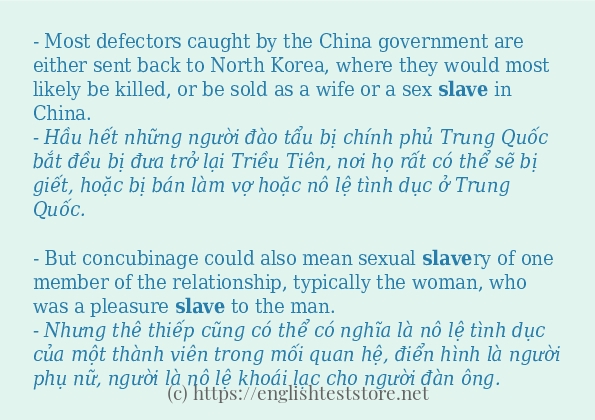 Cách sử dụng và câu ví dụ của từ slave