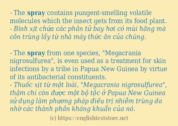 Cách sử dụng và câu ví dụ của từ spray Cách sử dụng và câu ví dụ của từ spray