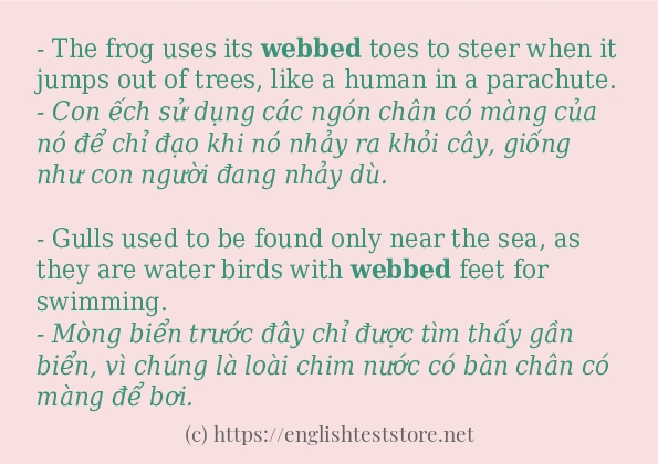 Cách sử dụng và câu ví dụ của từ webbed