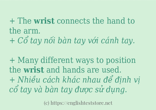 Cách sử dụng và câu ví dụ của từ wrist Cách sử dụng và câu ví dụ của từ wrist