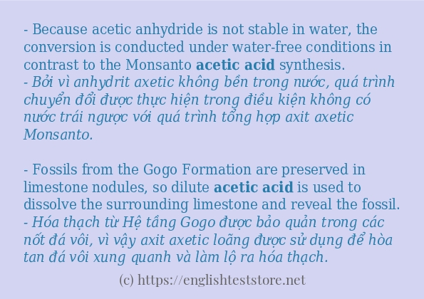 Câu ví dụ của từ Acetic acid