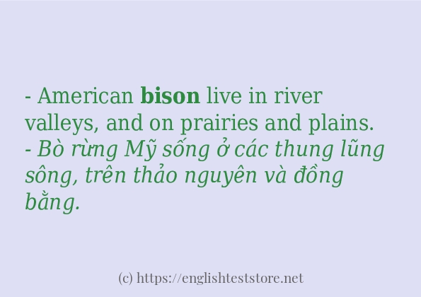 Câu ví dụ của từ bison