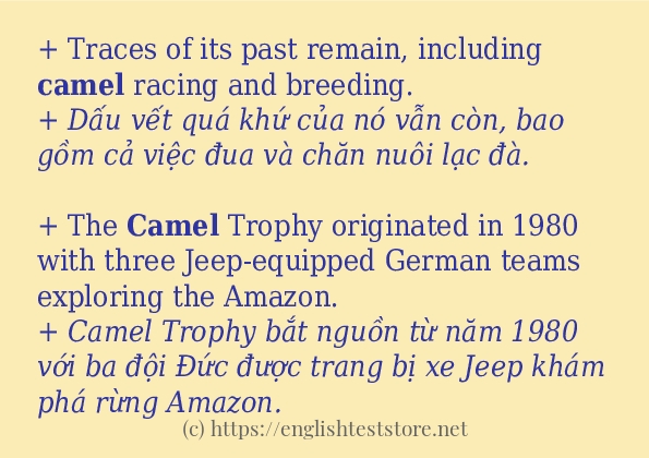 Câu ví dụ của từ camel