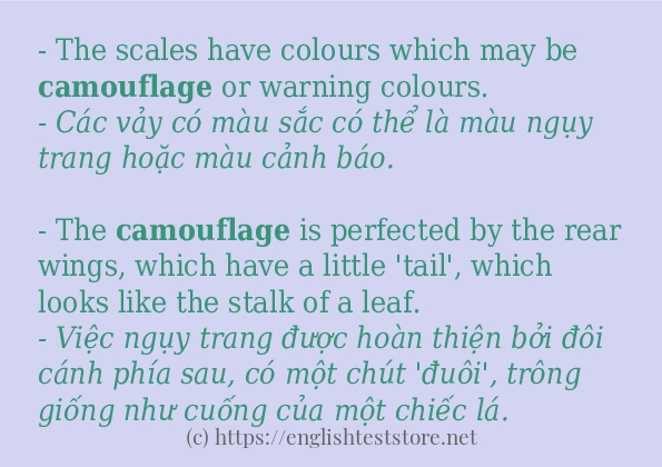 Câu ví dụ của từ camouflage