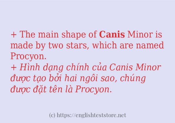 Câu ví dụ của từ canis
