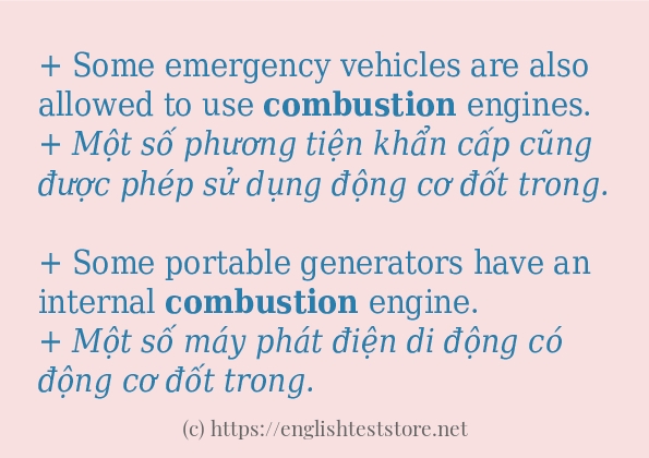 Câu ví dụ của từ combustion