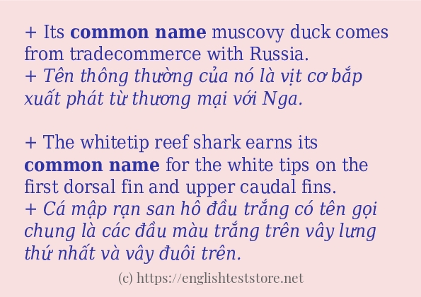 Câu ví dụ của từ common name