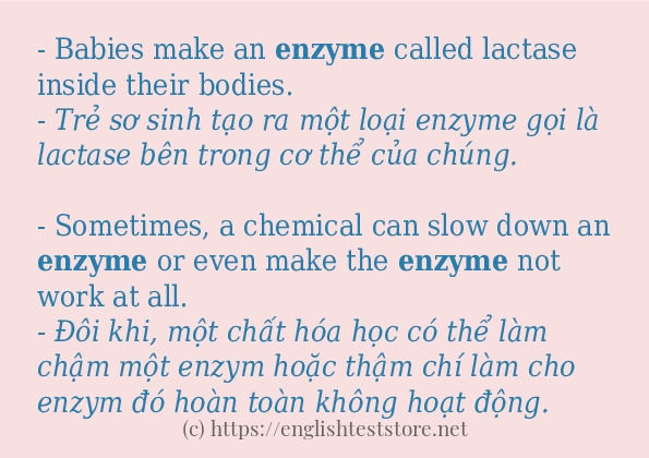 Câu ví dụ của từ enzyme