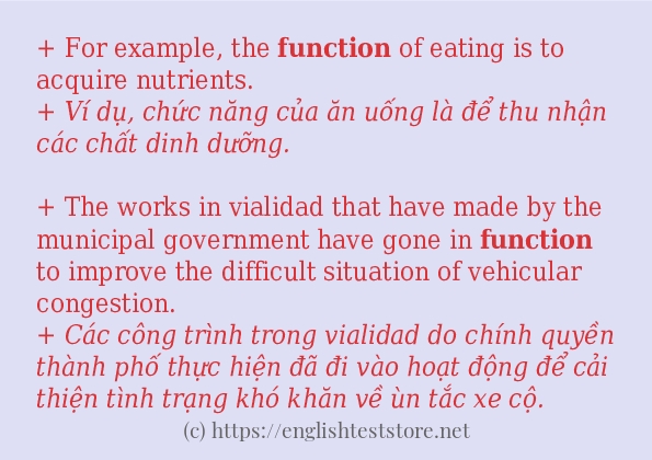 Câu ví dụ của từ function