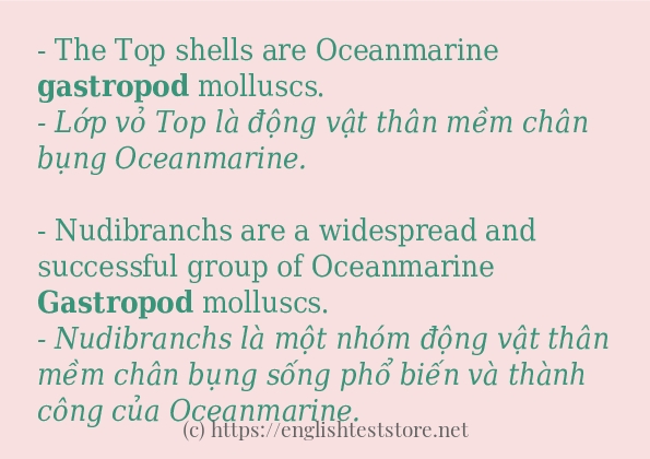 Câu ví dụ của từ gastropod