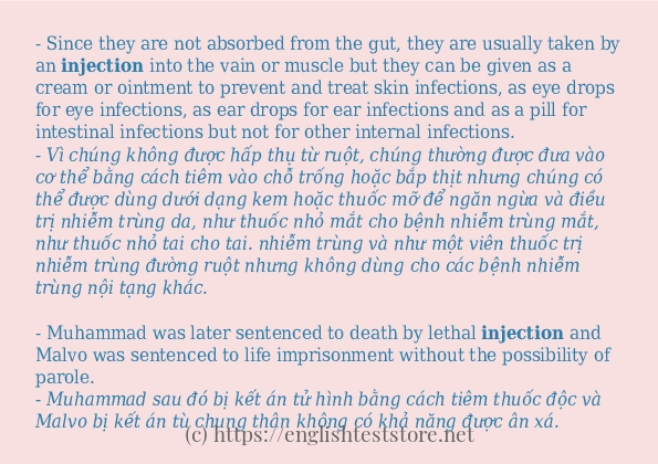 Câu ví dụ của từ injection
