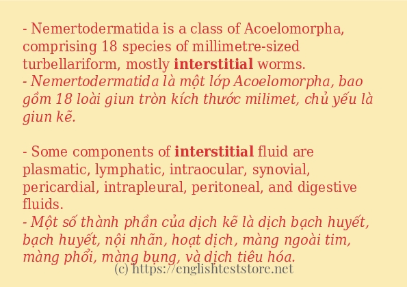 Câu ví dụ của từ interstitial