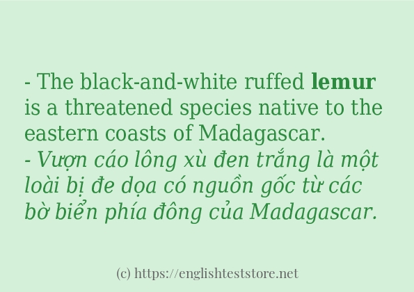 Câu ví dụ của từ lemur