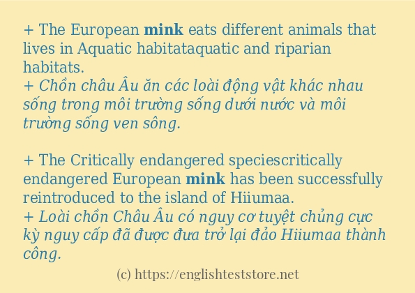 Câu ví dụ của từ mink
