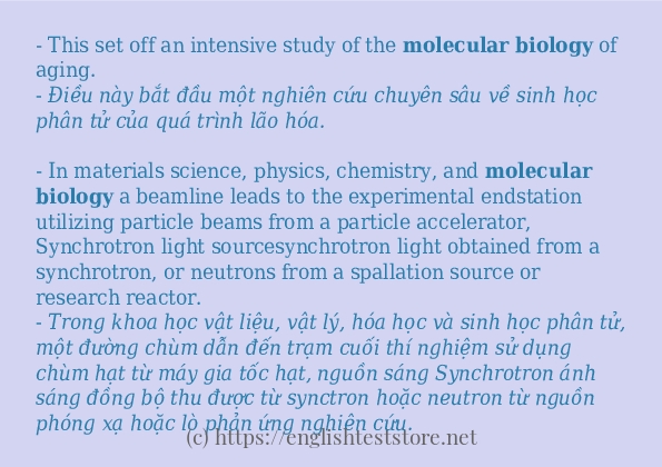 Câu ví dụ của từ molecular biology