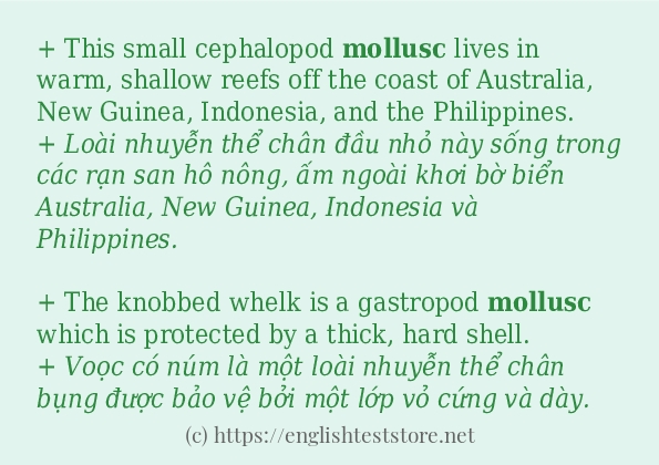Câu ví dụ của từ mollusc