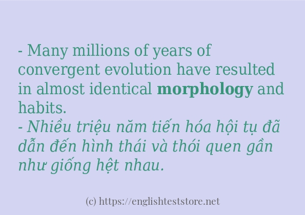 Câu ví dụ của từ morphology