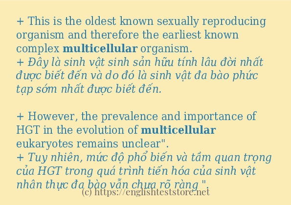 Câu ví dụ của từ multicellular