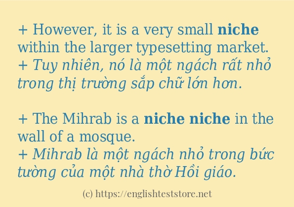 Câu ví dụ của từ niche