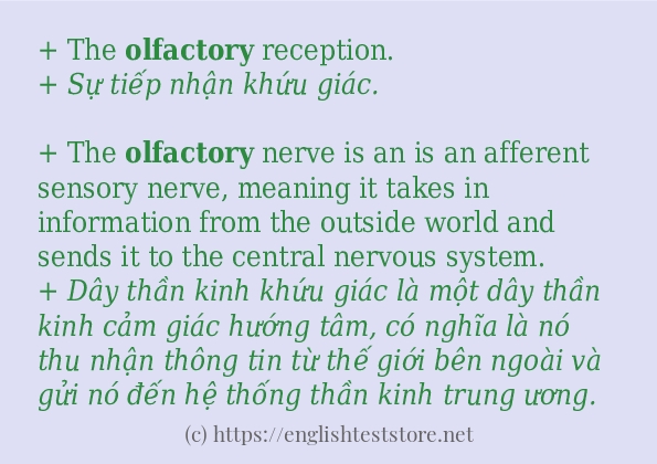 Câu ví dụ của từ olfactory