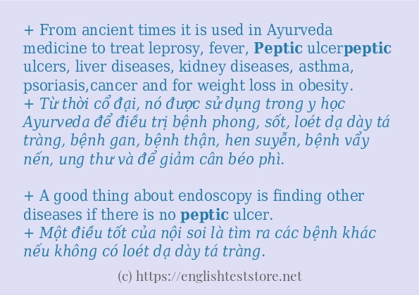 Câu ví dụ của từ peptic