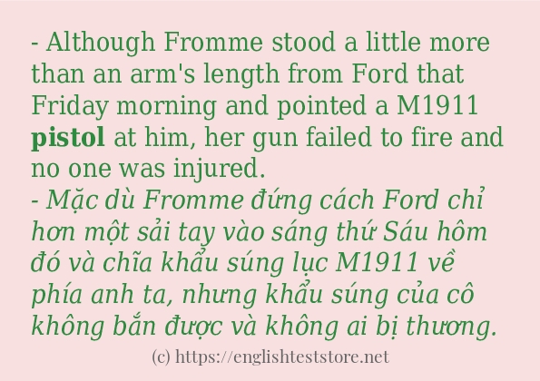 Câu ví dụ của từ pistol