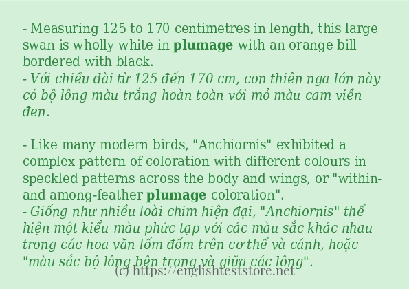 Câu ví dụ của từ plumage